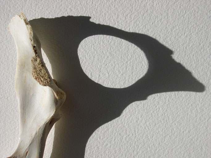 digital image reflecting light and time with remains collected in Sedona, Arizona