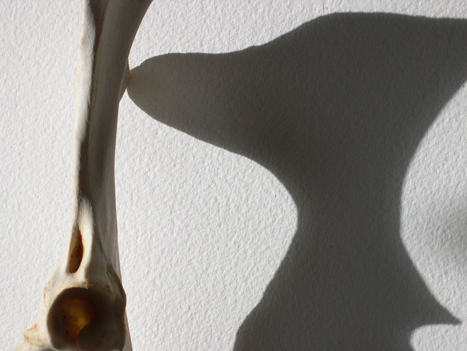 digital image reflecting light and time with remains collected in Sedona, Arizona