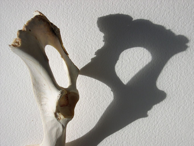 digital image reflecting light and time with remains collected in Sedona, Arizona